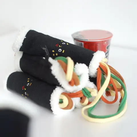 Pet Hidden Food Toys