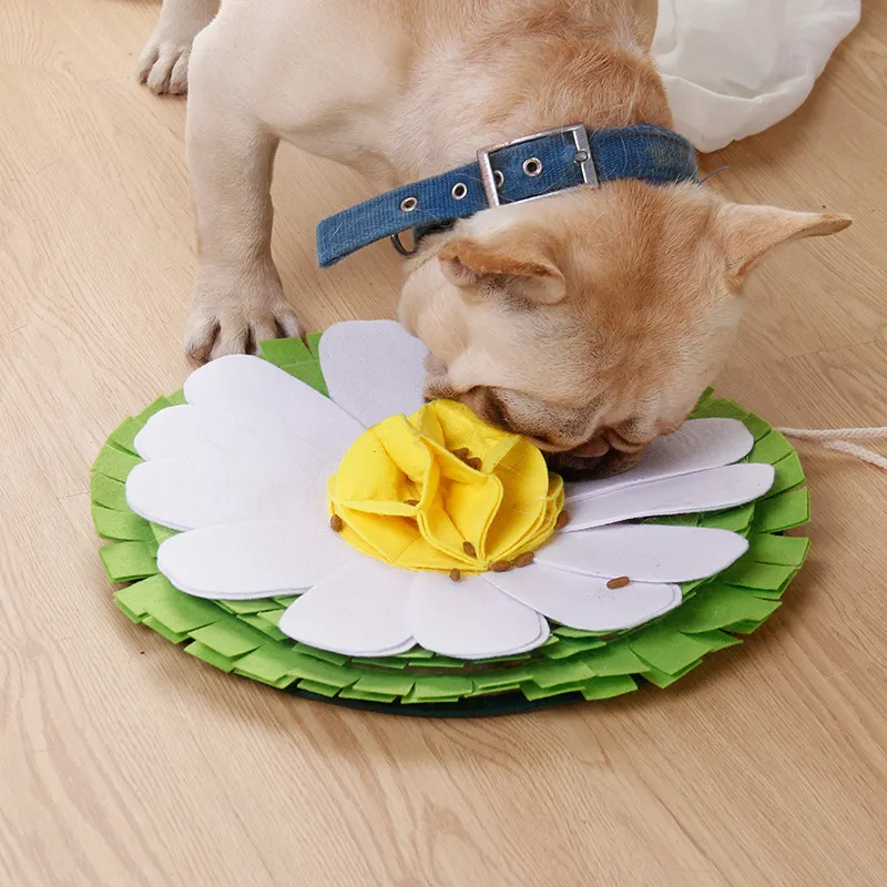 Dog sniffing pad toy - Photo Color