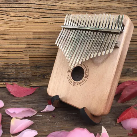 Beginners to Learn Portable Piano Instruments