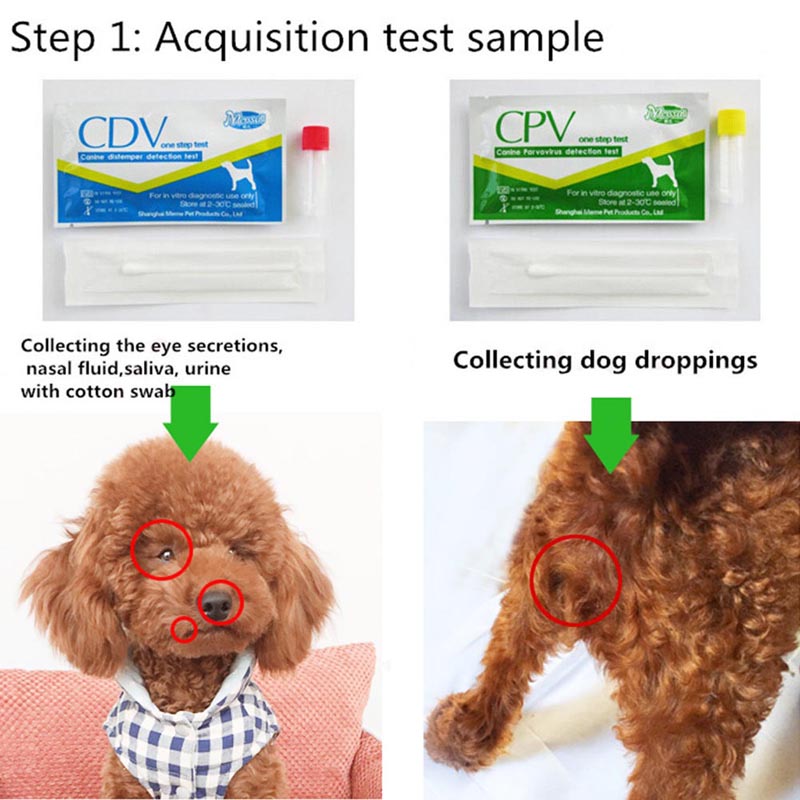 Pet CDV CPV Test Paper (Blue)