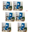 6Pc Blue Feather