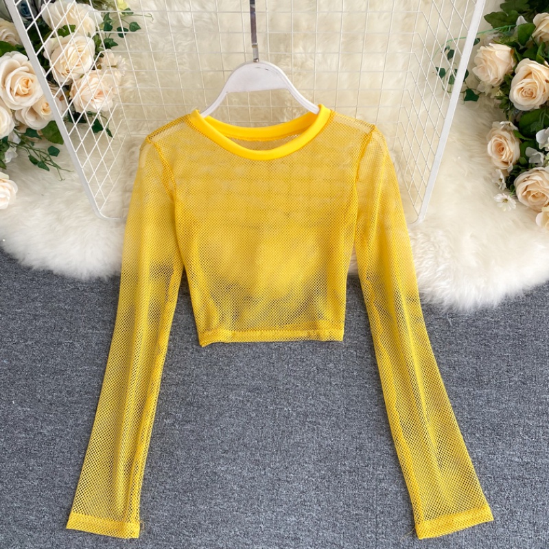 See-through Mesh Hollow Solid Color Pullover Long Sleeve