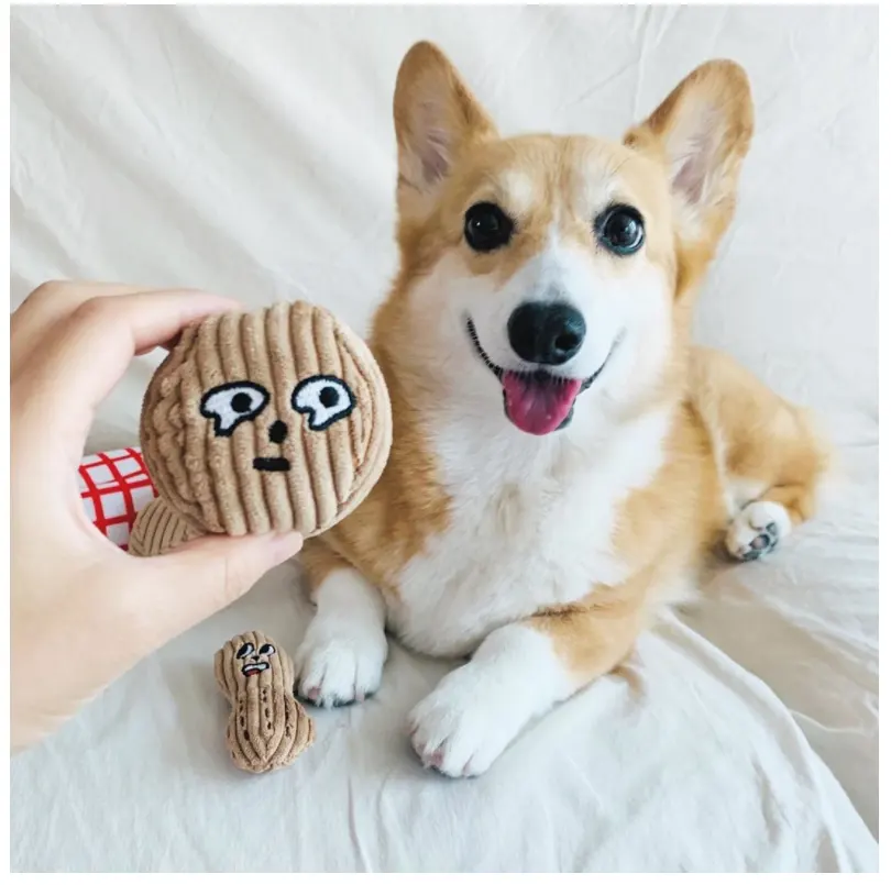 Hidden Food Toys for Dogs