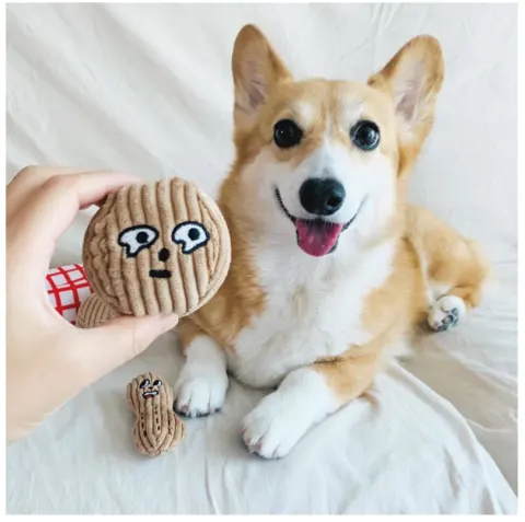 Hidden Food Toys for Dogs
