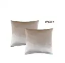 01White