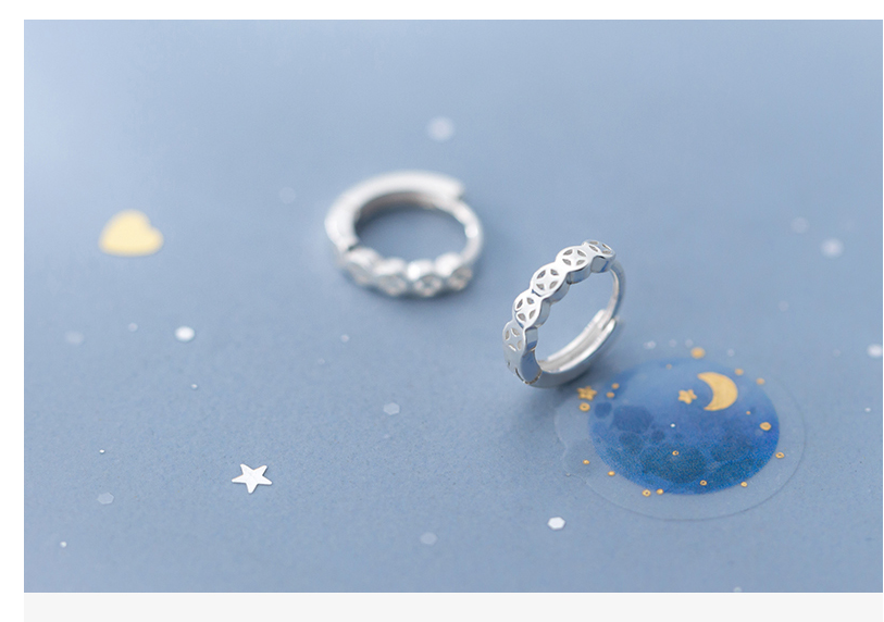 S925 Silver Earrings