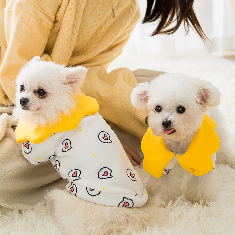 Cat Pet Clothes