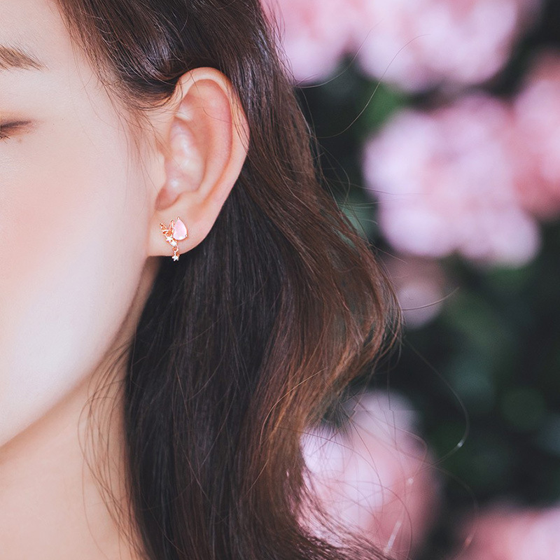 No pierced resin ear clips