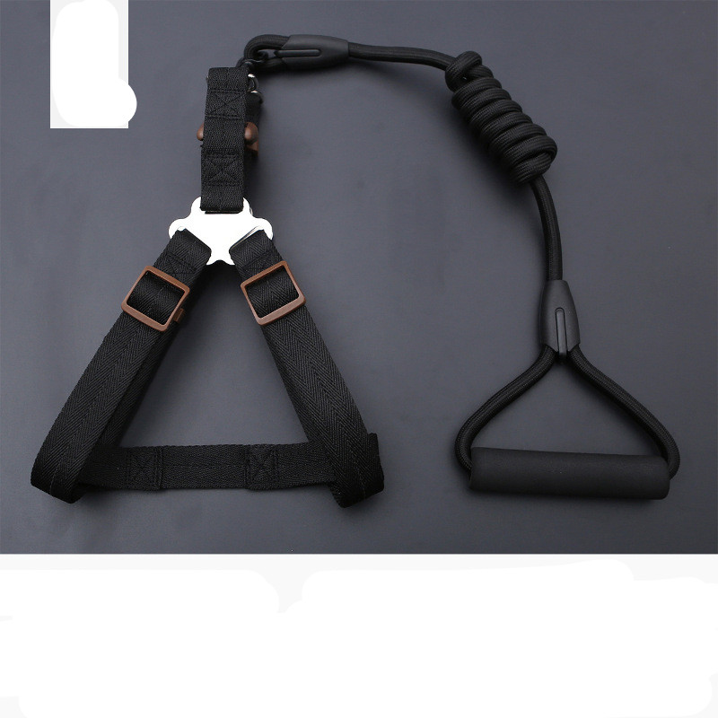 Dog Leash Golden Retriever Teddy Chest Strap Collar Black - Shop at LoveMi