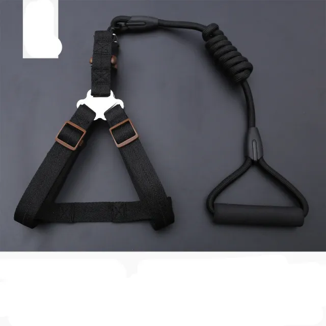 Dog Leash Golden Retriever Teddy Chest Strap Collar Black - Shop at LoveMi