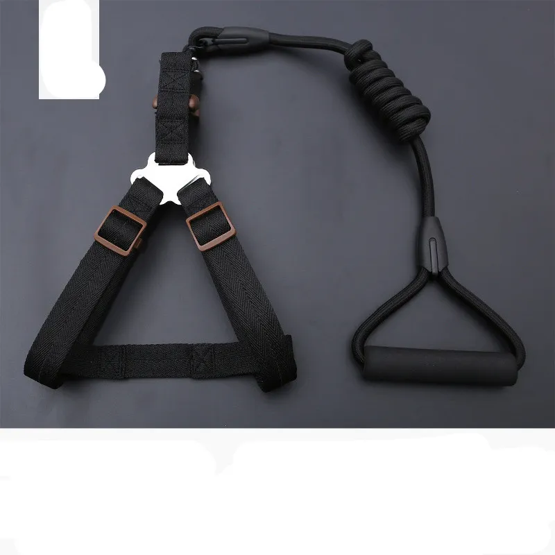 Dog Leash Golden Retriever Teddy Chest Strap Collar - Black