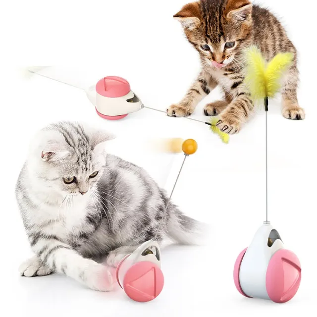 Balance swing car funny cat toy Pink - Shop at LoveMi