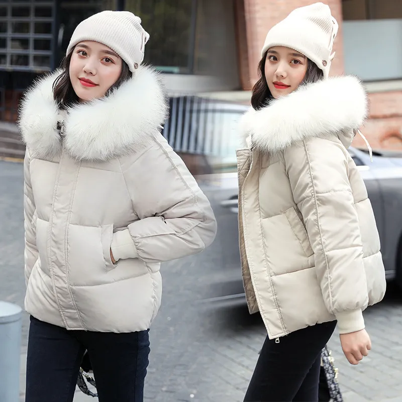 Large Fur Collar Thick Padded Jacket Down Women Short Slim Fit - White