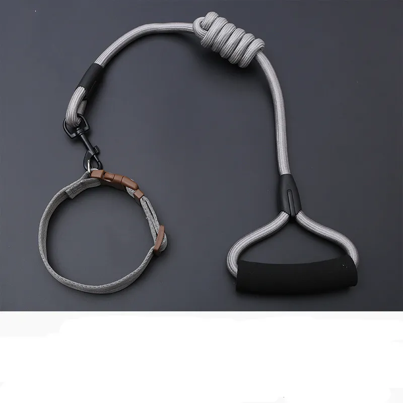 Dog Leash Golden Retriever Teddy Chest Strap Collar - Grey