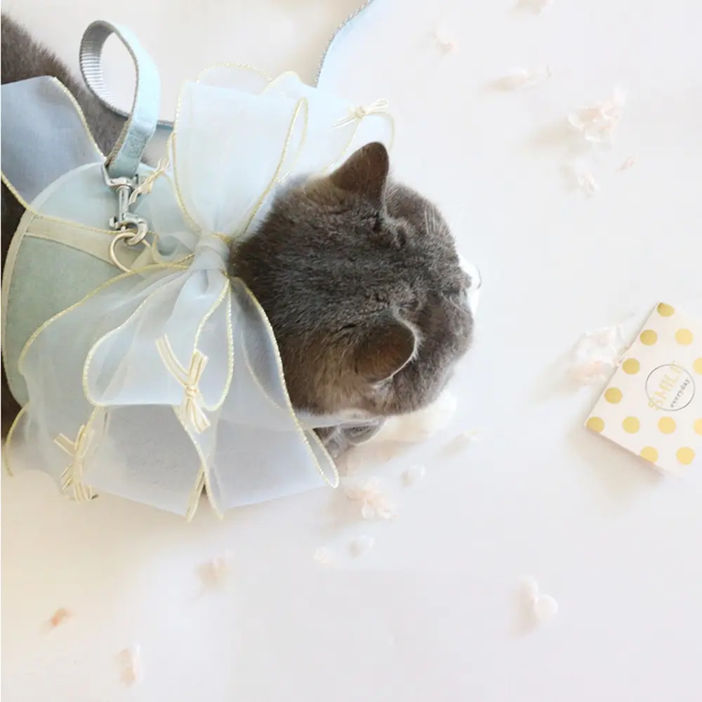 Bow Knot Pet Traction Cat Clothes Small
