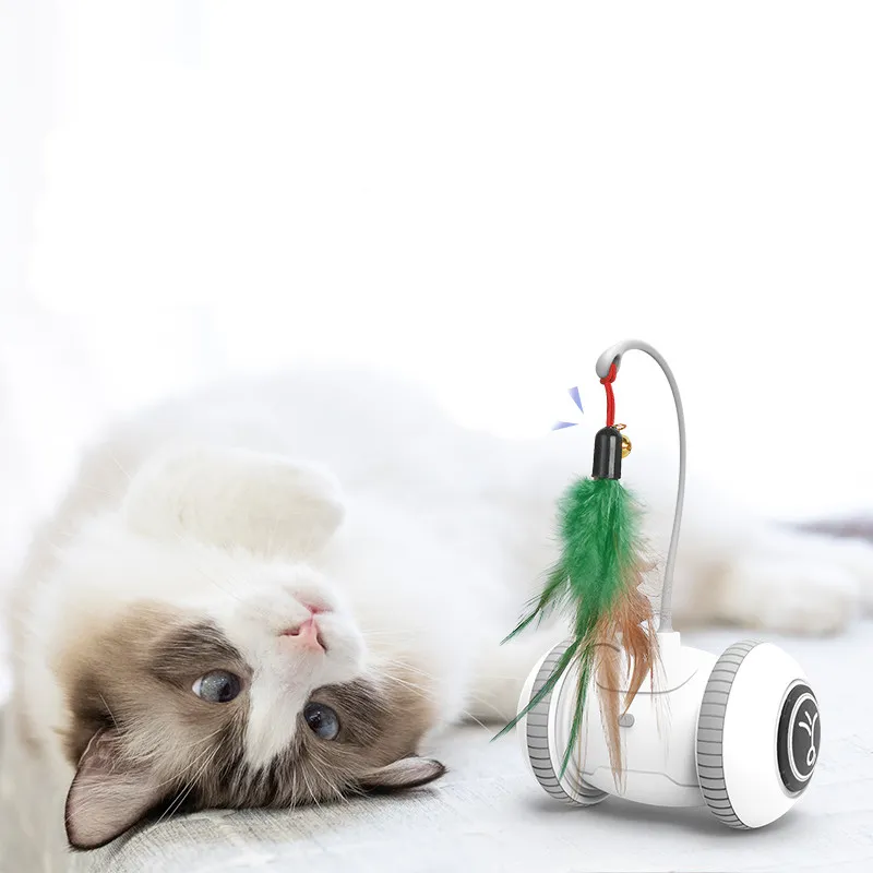 Interactive Cat Toy With Interchangeable Heads Pet Feather Toys – image 4