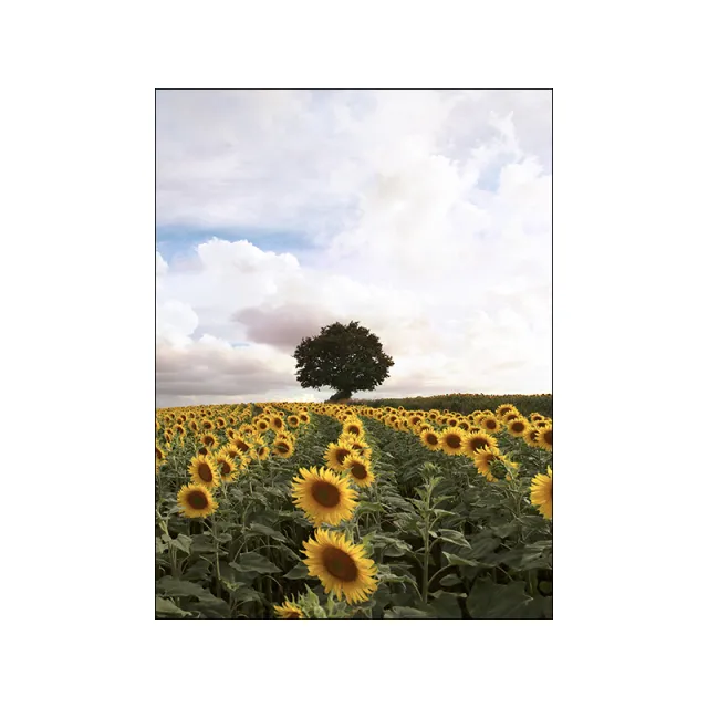 Home Minimalist Decorative Canvas Landscape Poster - Shop at LoveMi