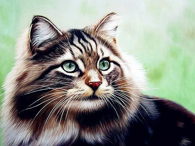 Cat Diamond Painting Animal Rhinestone Diamond Embroidery Square - Shop at LoveMi