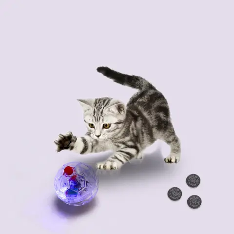 Cat Dog Toy Ball New Fashion Glowing Transparent Plastic