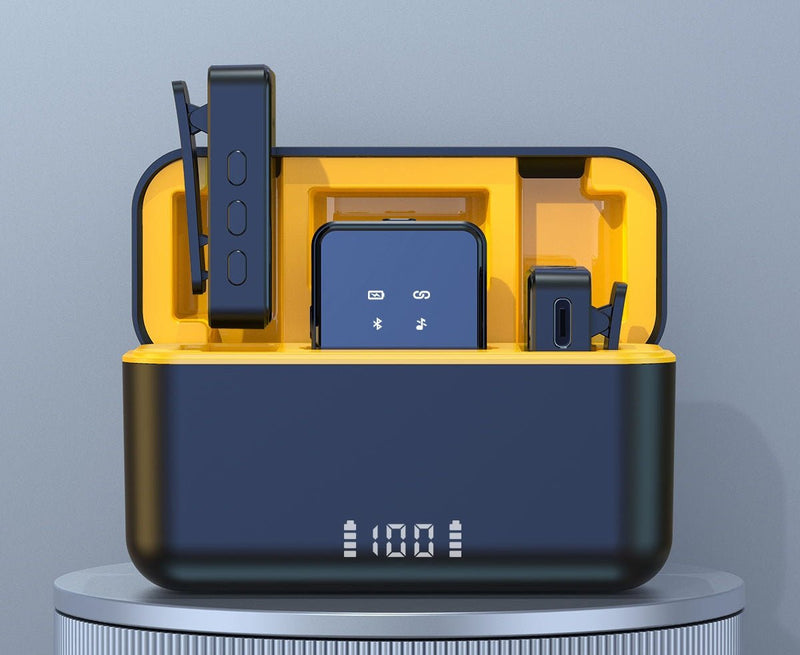 Wireless Microphone Kit