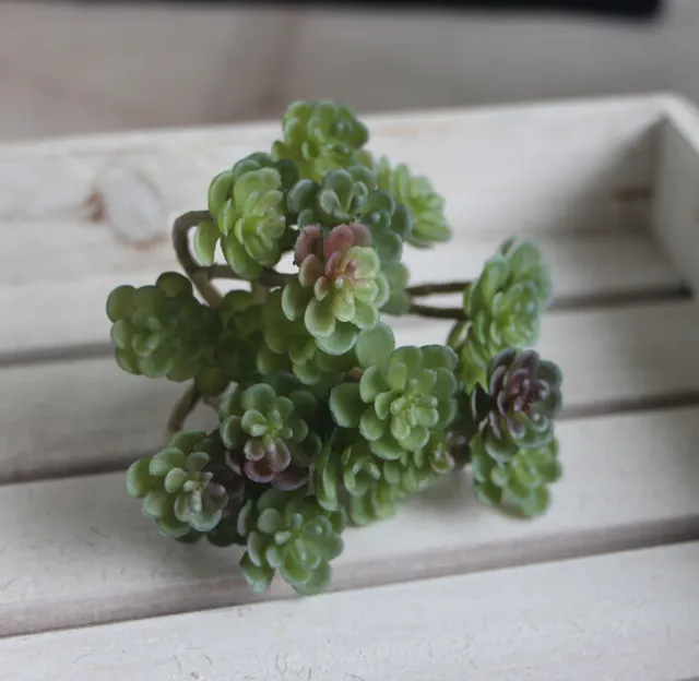 Succulent Micro Landscape Plants Living Room Home Store Decoration Autumn Colors - Shop at LoveMi