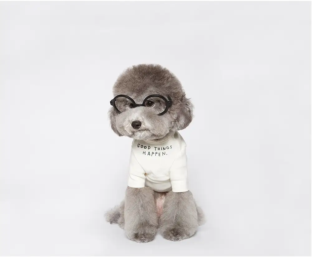 INS Wind Letter Printing Simple T Shirt Pet Clothing