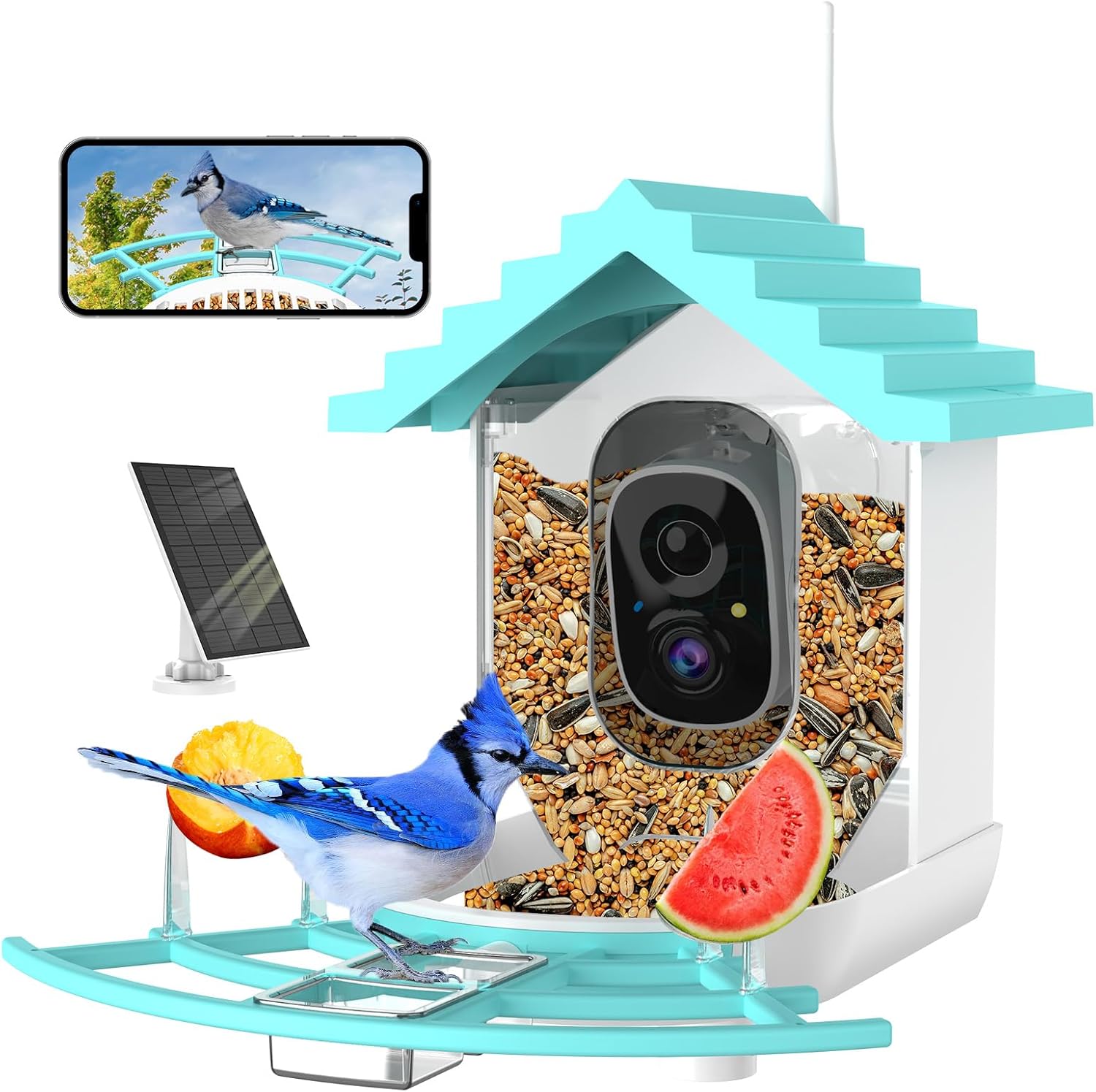 Bird Feeder With Camera, AI Identify Birds Species, Smart Birds Camera With Solar Powered, Auto Record 2K Birds Video In Backyard, Instant Notifica... - Shop at LoveMi