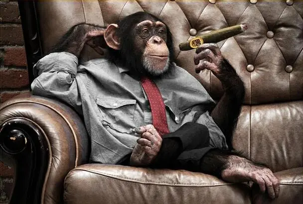 There Is A Canvas Wall Painting Of A Gorilla Monkey On The Sofa Black - Shop at LoveMi
