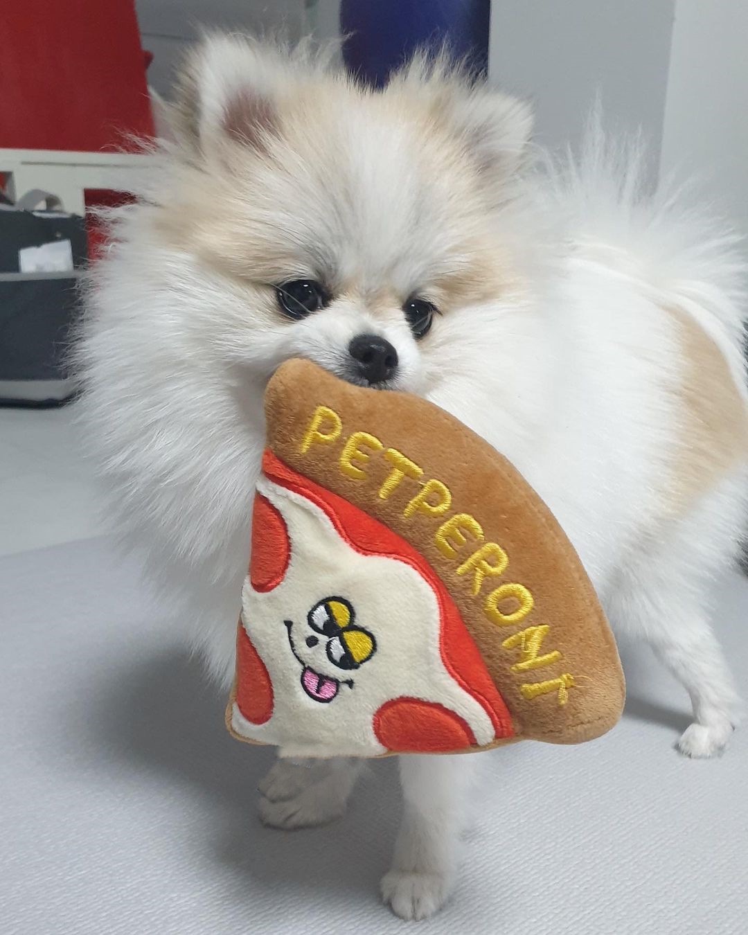 Pet Dog Pizza Sound Cute BB Call Sounding Toy