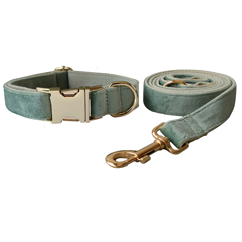 Collar Leash