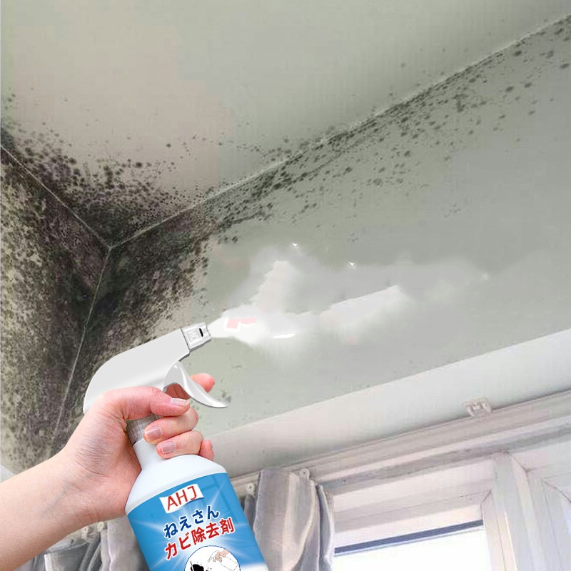 Title 5, Wall To Remove Mildew Detergent Anti-mildew Art...