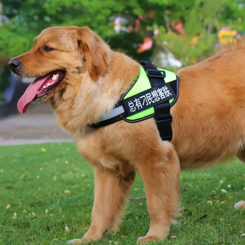 Pet Chest Harness Dog Leash