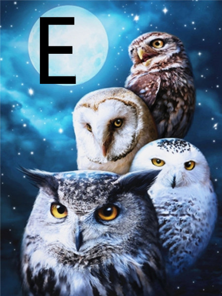 Title 5, Owl Night Tree 5D Diamond Painting Kit, Embroid...