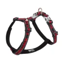 Black Red