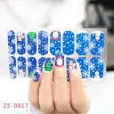 Ze0017