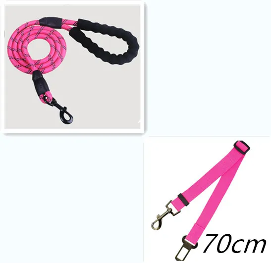 Reflective Dog Leash Nylon Pet Dog Leash Rope For Small Medium Large Dogs Walking Training Pet Suppiles Pink Set - Shop at LoveMi