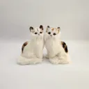A Pair
