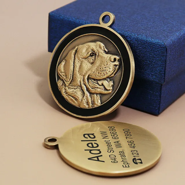 Anti lost Card Dog Identity Tag Dog Tag Metal Lettering Cat Tag Labrador - Shop at LoveMi
