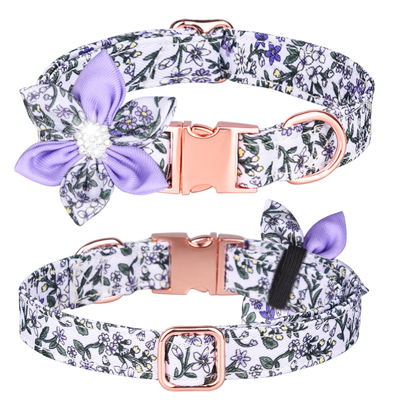 Dream Purple