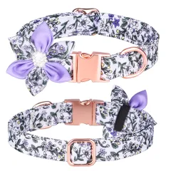 Custom Pet Collar And Leash Set - Dream Purple - View 1