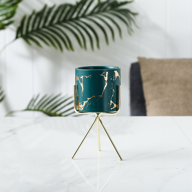 Dark Green Medium
