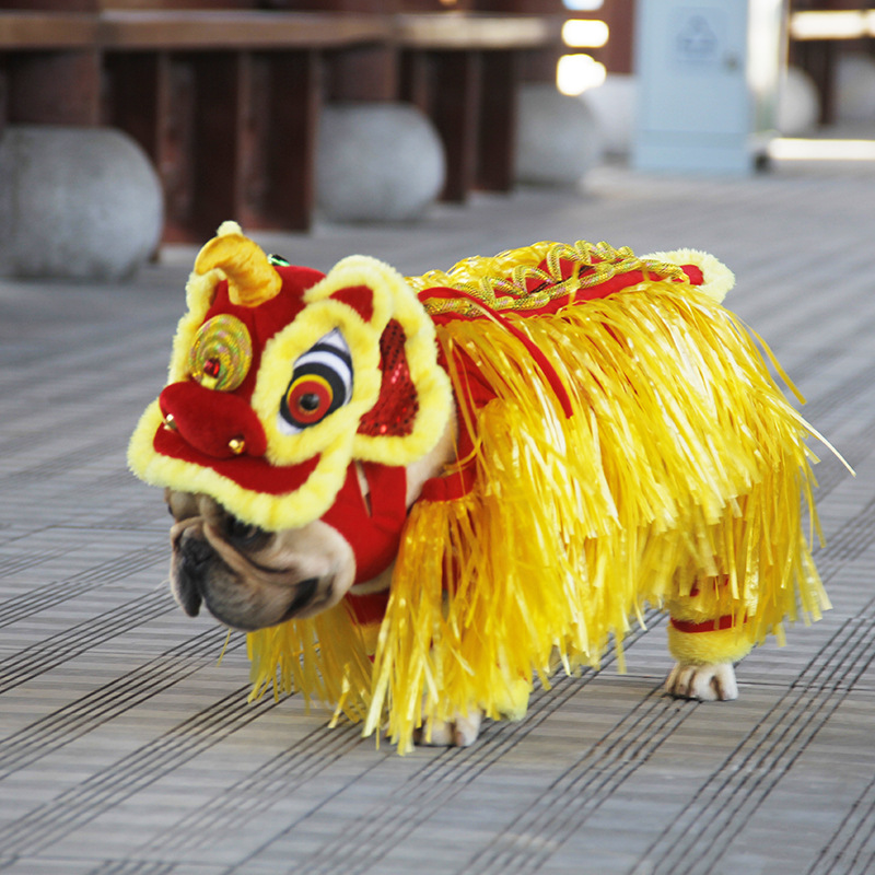 Lion Dance