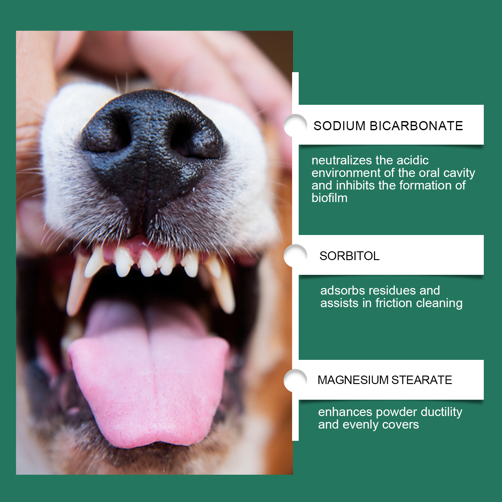 Dog Tooth Cleaning Powder 5