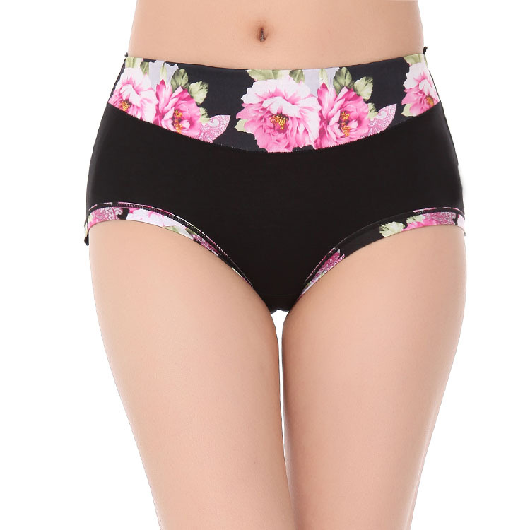 Title 5, High Waist Modal Bamboo Fiber Cotton Briefs for...