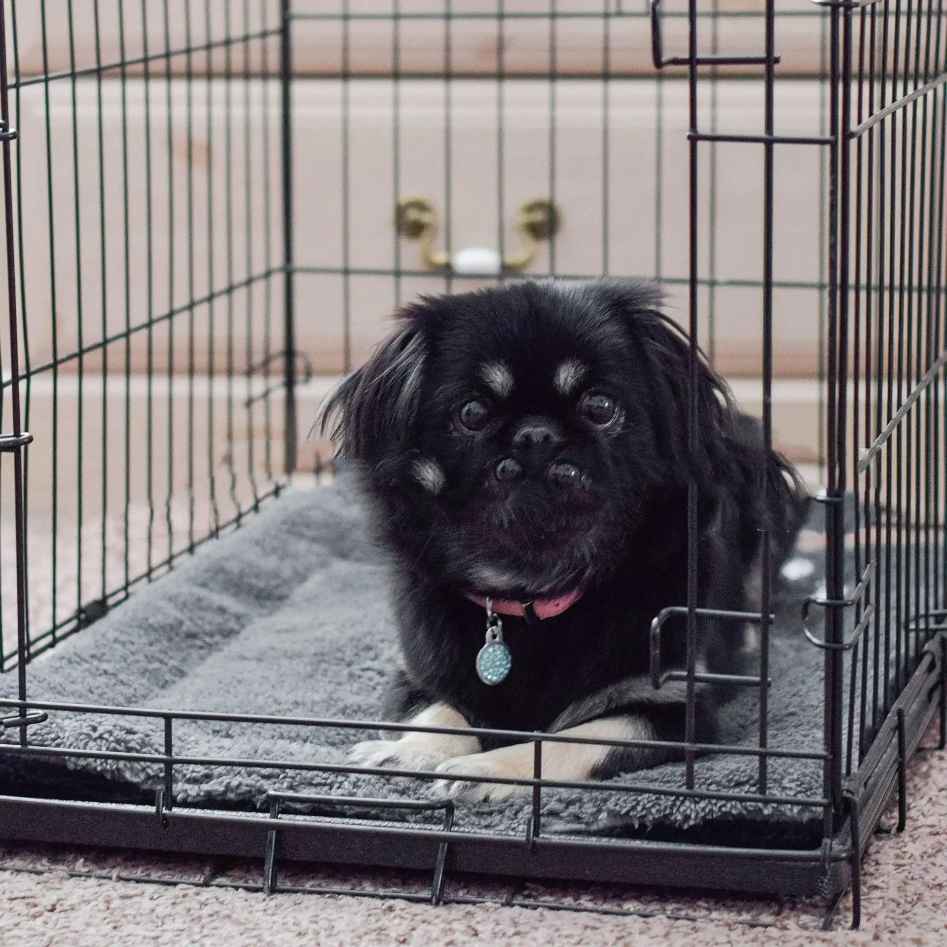 Pet Self-Heating Mat Double-Sided For Hairless Cats Small Dogs