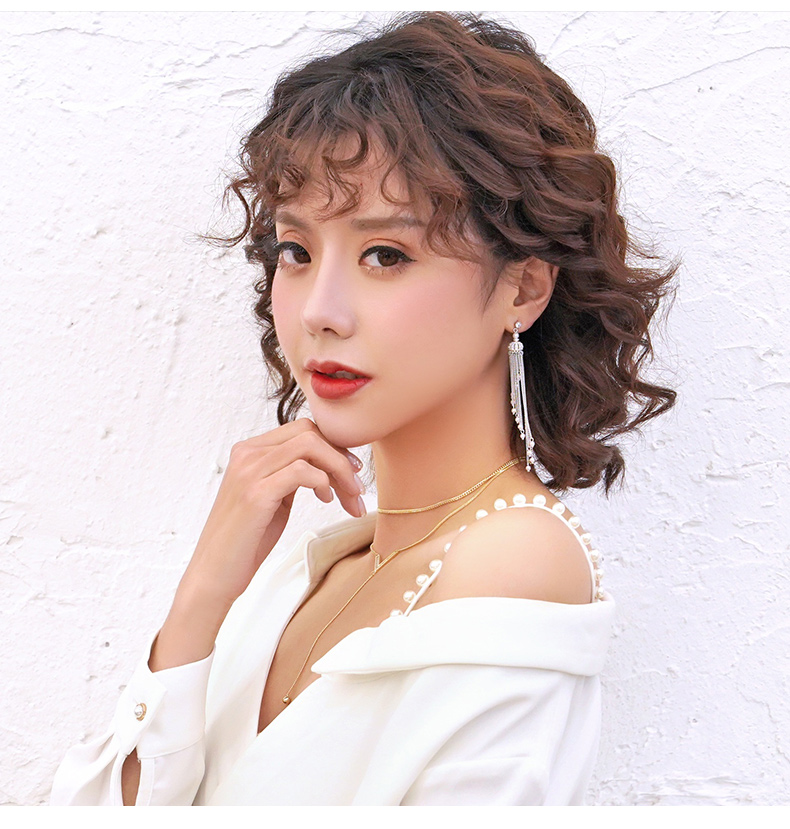 Long Tassel Crown Earrings Women's 925 Silver Needle