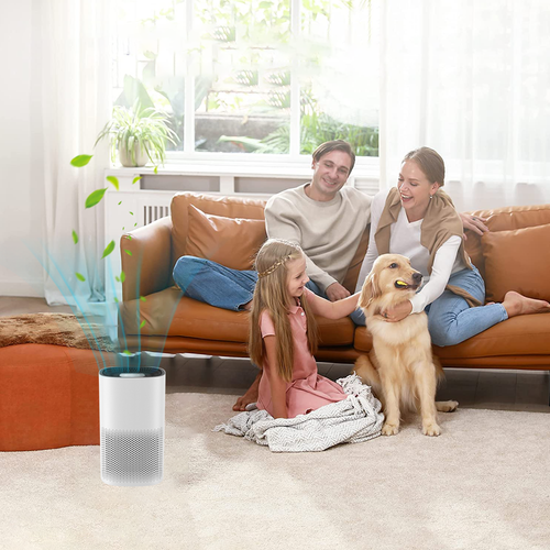 Air Purifier HEPA Filter PM Pet Home Freshener Odor Dust Smoke Remover Cleaner