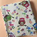 Twig Owl