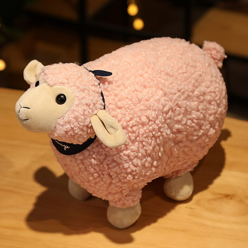 Pink sheep