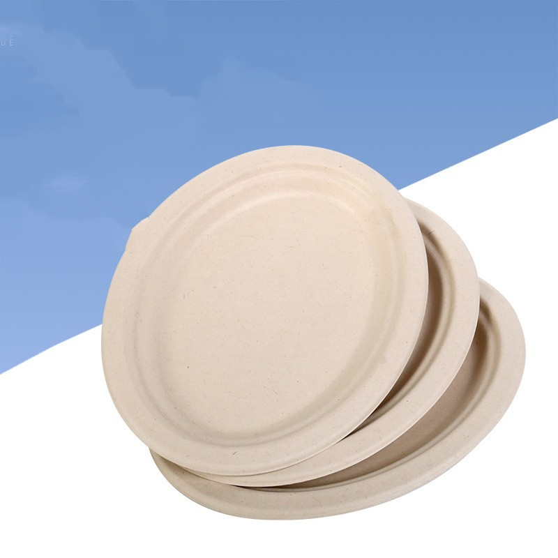 10 Inch Super Strong Paper Plates (Natural color
